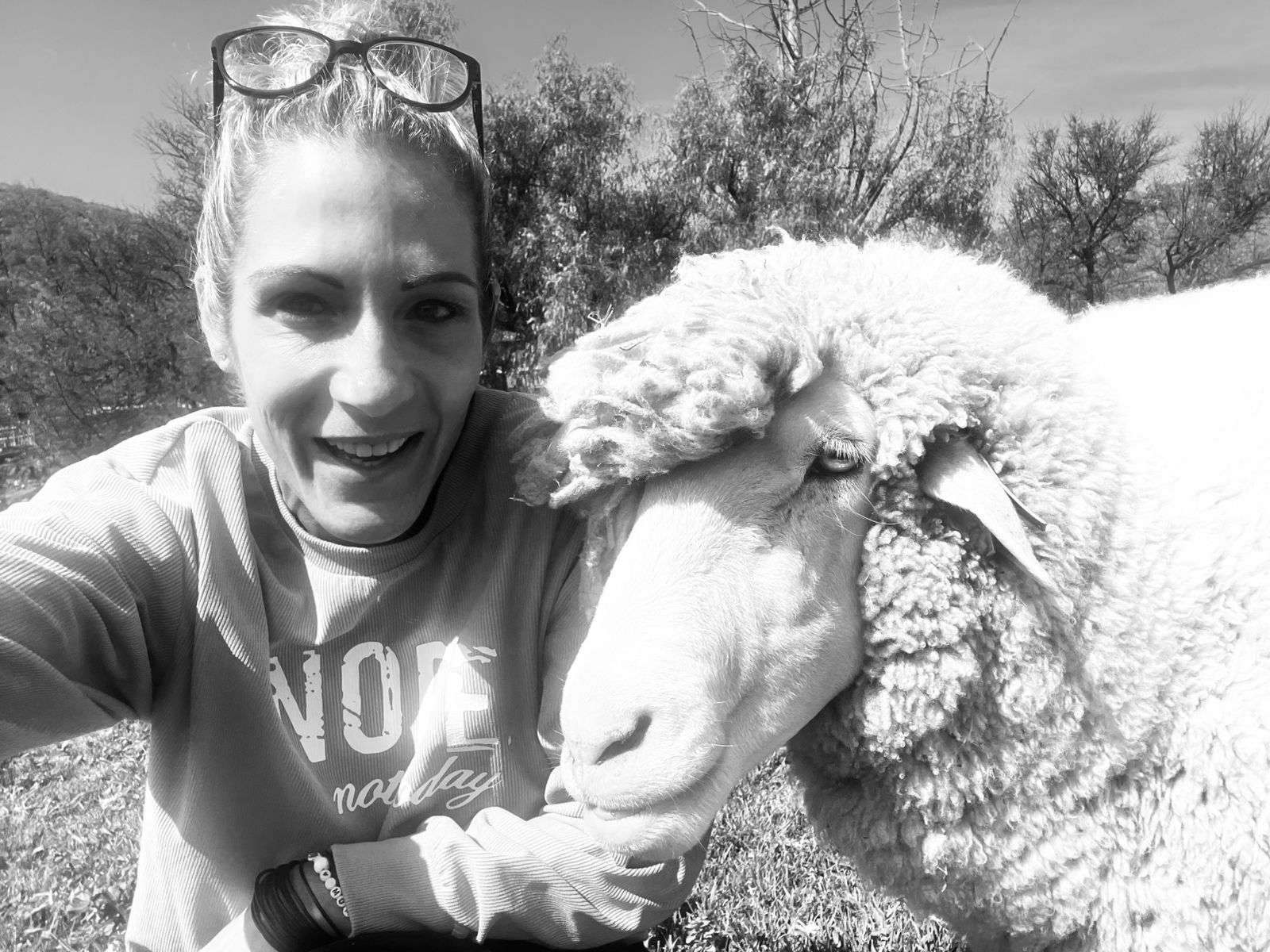 WhatsApp Image 2025-09-03 at 13.01.28_18ebe3e6